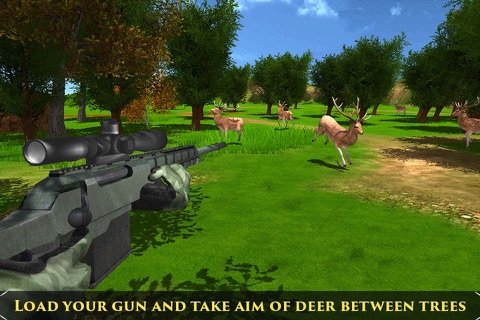 Deer Hunting Sniper Reloaded screenshot 4