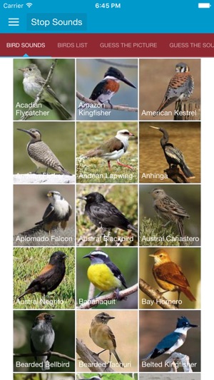 South American Birds Sounds