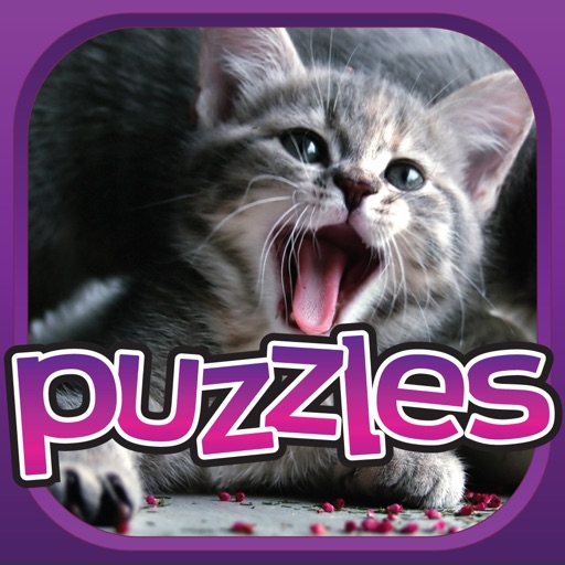 Cats Puzzle Premium