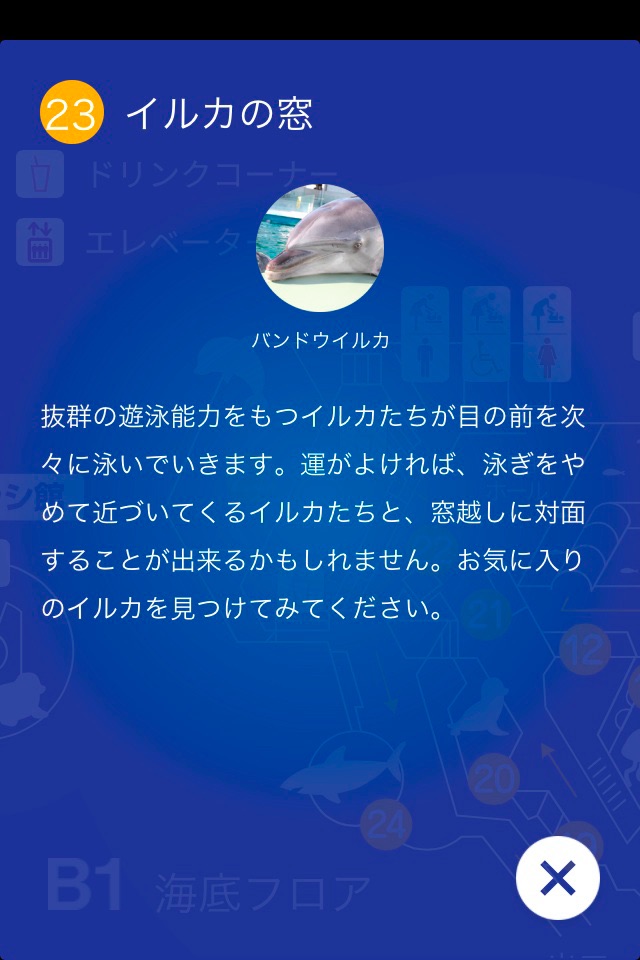しながわ水族館 screenshot 2