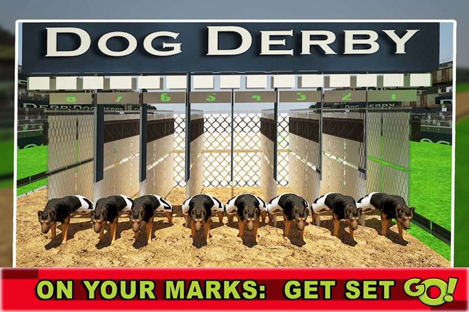 Race Dog Racer Simulator 2016 – Virtual Racing Championship with Real Police Dogs screenshot 3