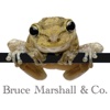 Bruce Marshall & Co