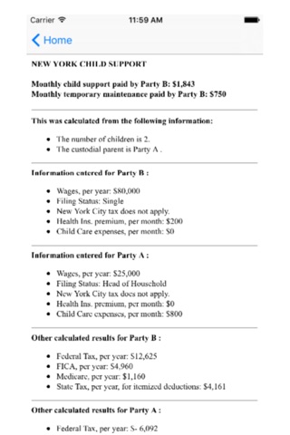 New York Child Support Calculator screenshot 2