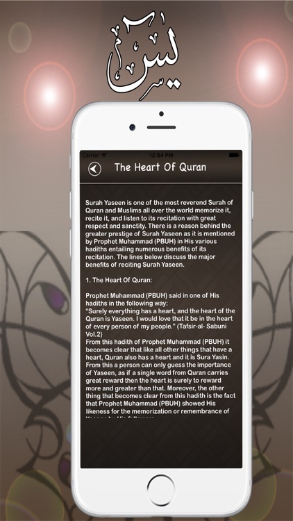 Surah Yasin Audio Urdu - English Translation Pro screenshot-3