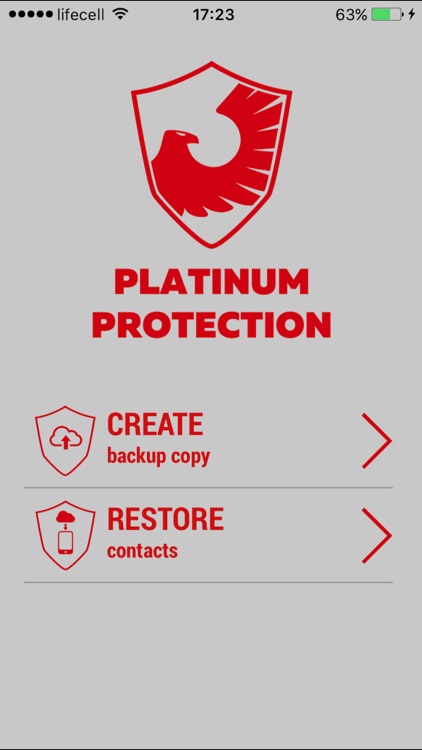 Platinum Protection screenshot-3