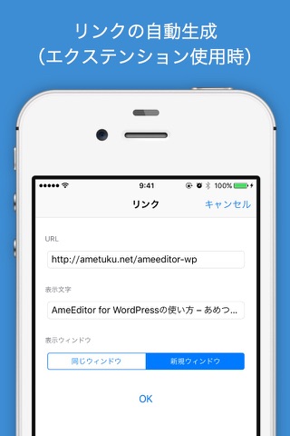 AmeEditor for WordPress screenshot 4