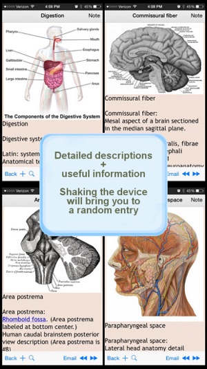 Human Body Encyclopedia Plus+(圖2)-速報App