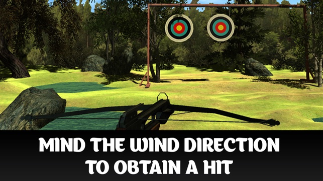 Crossbow Shooting Championship 3D(圖2)-速報App