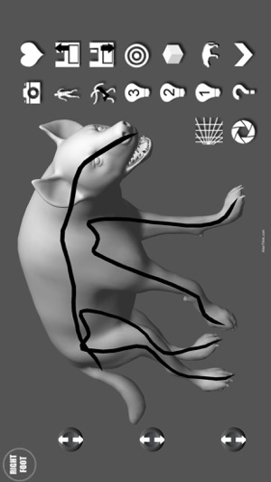 Hyena Pose Tool 3D(圖5)-速報App