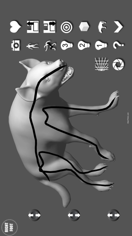 Hyena Pose Tool 3D screenshot-4