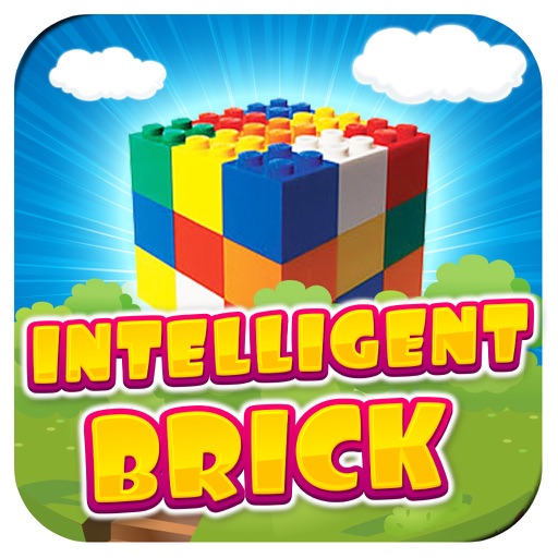 Intelligent Brick iOS App