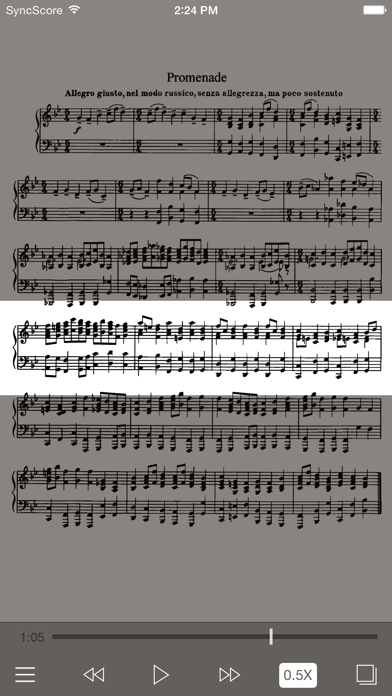 Mussorgsky Pictures E... screenshot1