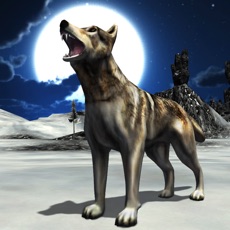 Activities of Angry Snow Wolf 2016 – 3D Wildlife alpha predator quest simulation game