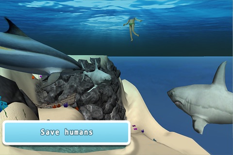 Sea Dolphin Simulator 3D screenshot 3