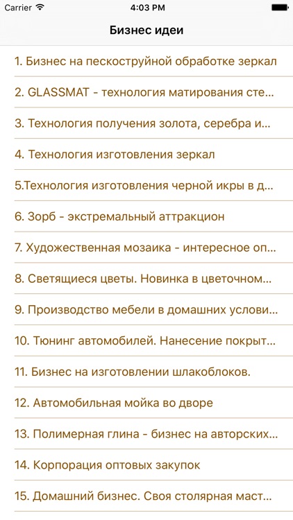 Бизнес идеи PRO