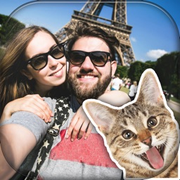 Funny Cat Photo Bomb – make your pics awesome with cute kitty stamps