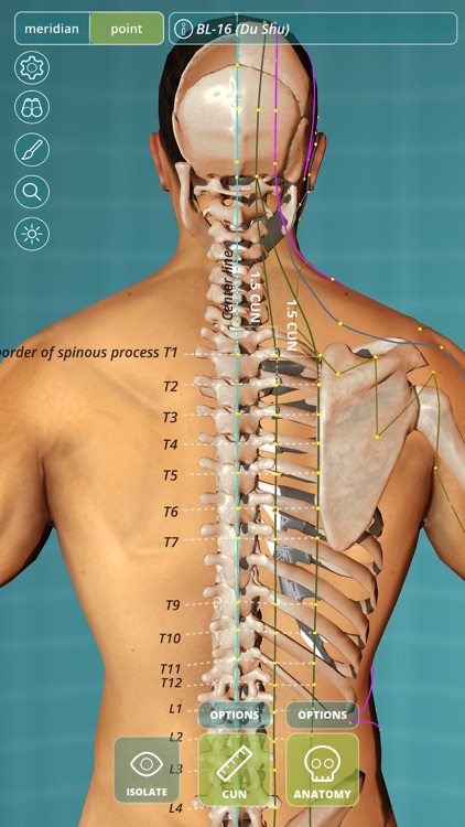 Visual Acupuncture