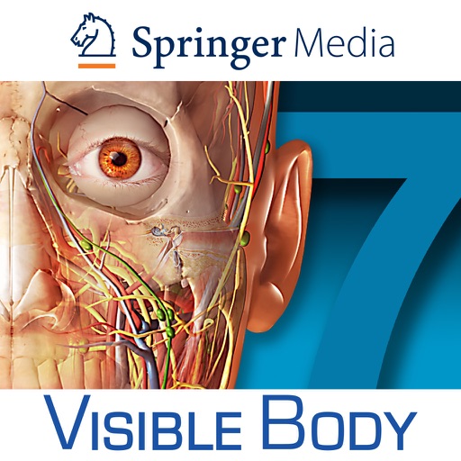 Human Anatomy Atlas 7 for Springer – 3D Anatomical Model of the Human Body