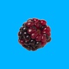 Fruit Hopper