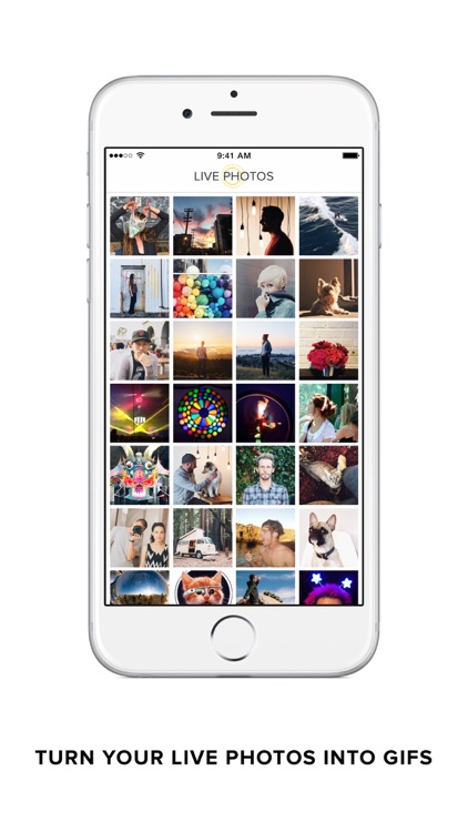 Live GIF — Turn Live Photos into GIFs screenshot-0