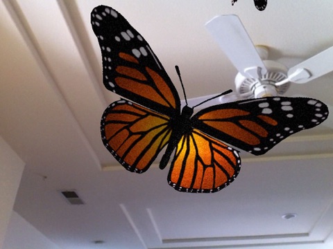 Live Butterfliesのおすすめ画像3