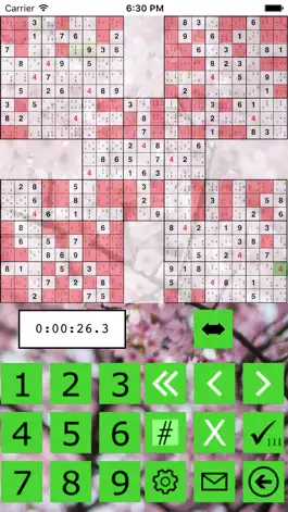 Game screenshot The Big Sudoku hack