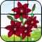 Jigsaw Puzzle for Kids Flowers