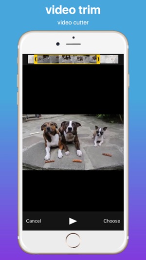 Add Music to Video Professional(圖3)-速報App