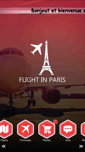 Flight in Paris