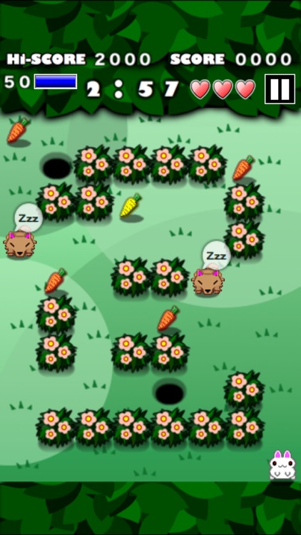 Rabbit MAZE Free screenshot-0