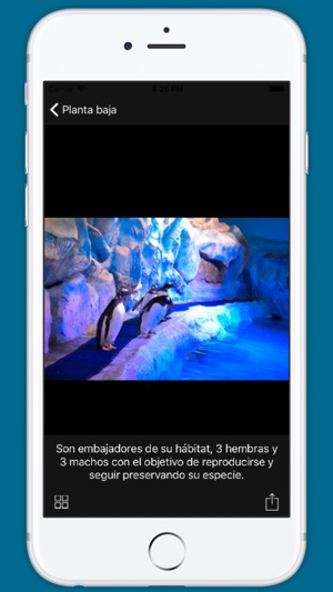 Acuario Inbursa(圖4)-速報App