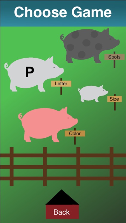ADHD Pig