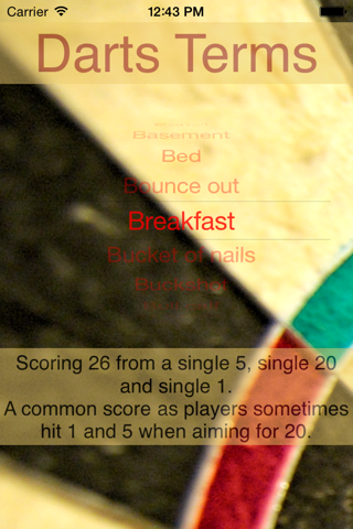 Darts Terms screenshot 2