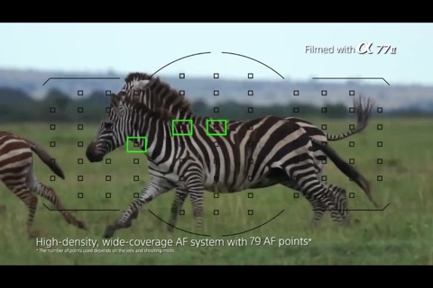 iα77II Pro - Guide And Training For Sony α 77M2 screenshot 2