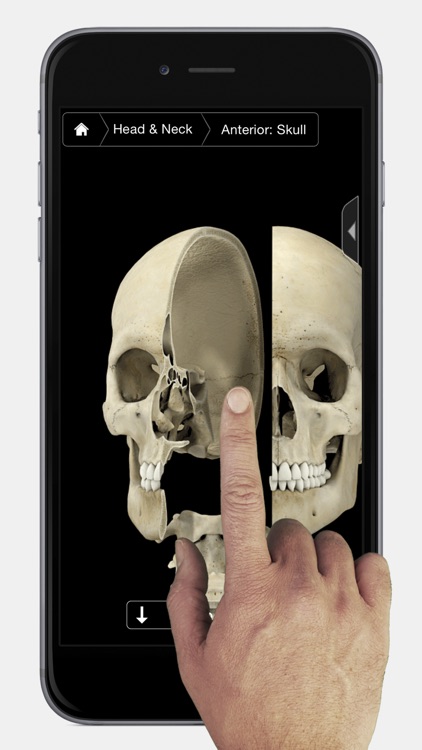 Skeleton System Pro III - iPhone Edition