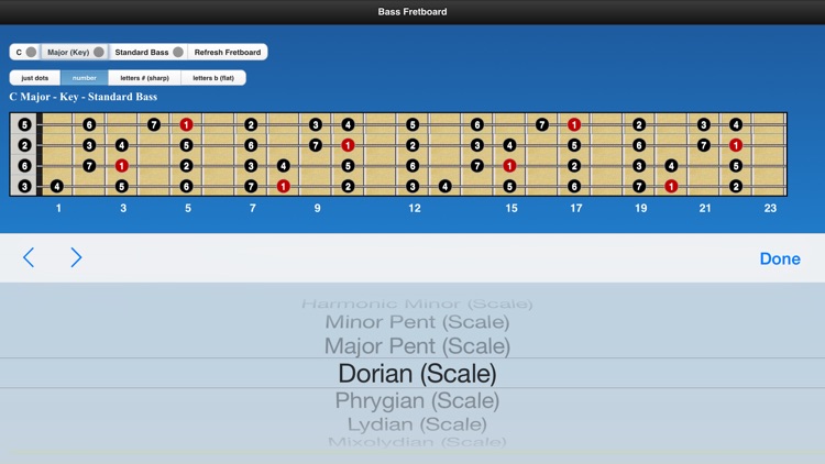 Bass Scales screenshot-3