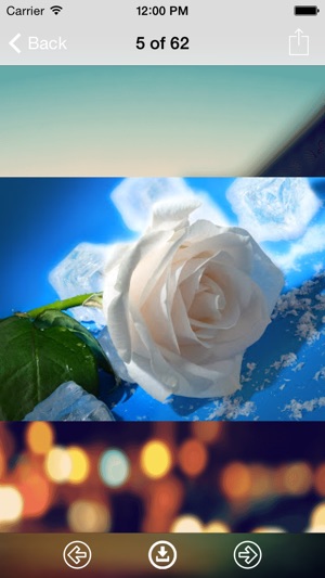 Rose Wallpaper: Best HD Wallpapers(圖2)-速報App