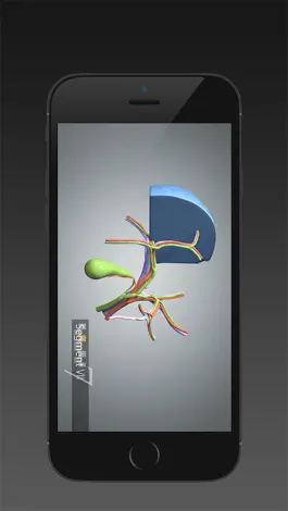 Game screenshot Surgical Anatomy of the Liver (iPhone) mod apk