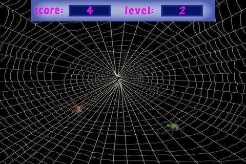 3D Spider Catch - Challange Your Speed Skills screenshot 3