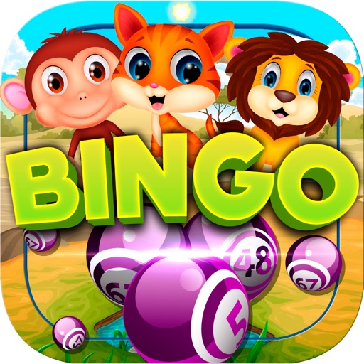 Animal Rush Bingo iOS App