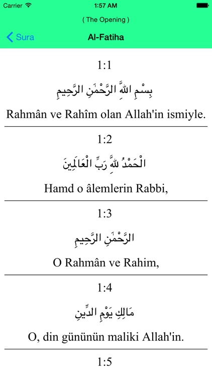 Al Quran - Turkish