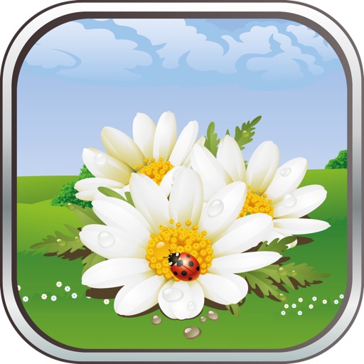 Garden Journey: Your Adventure in Flower Garden