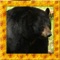 Role play a Black Bear :)