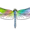 Dragonfly Pediatric OT