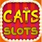 Discover a new reason to MEOW with fun-filled CATS Slot