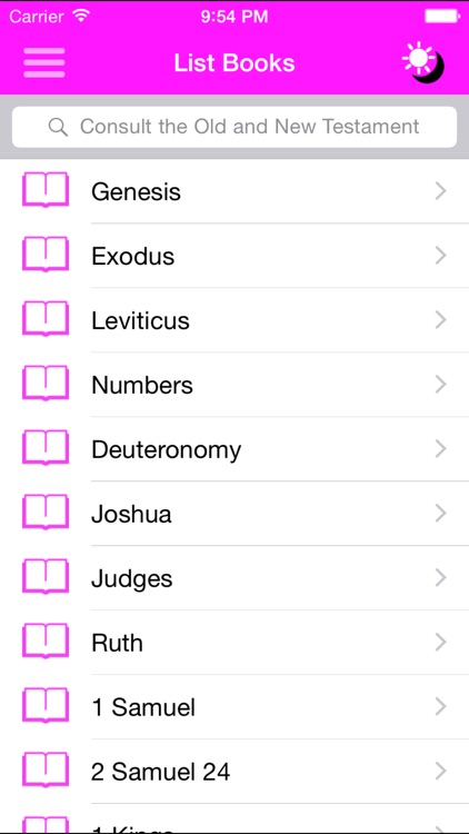 Holy Bible Woman JMC screenshot-3