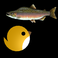 Activities of Diet Game