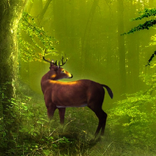 Deer HD Wallpaper for iPhone