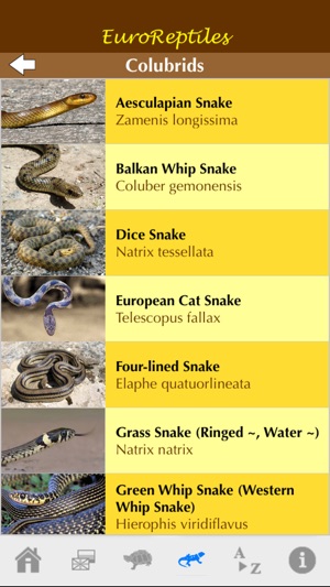 EuroReptiles(圖3)-速報App