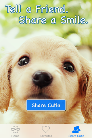 Cutie! - Cute puppies, kittens and animal pics screenshot 3